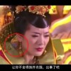 铁树开花打一肖